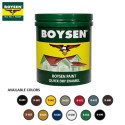 Boysen Paint Quick Dry Enamel 1 Gallon